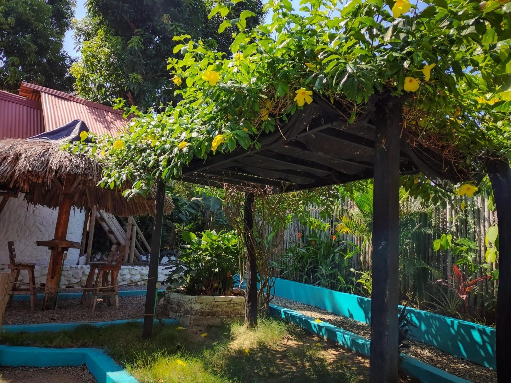 Hostel Cattleya パロミノ エクステリア 写真