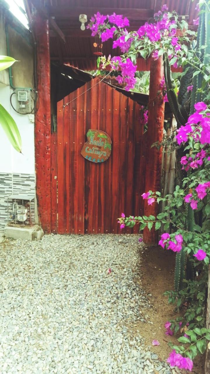 Hostel Cattleya パロミノ エクステリア 写真