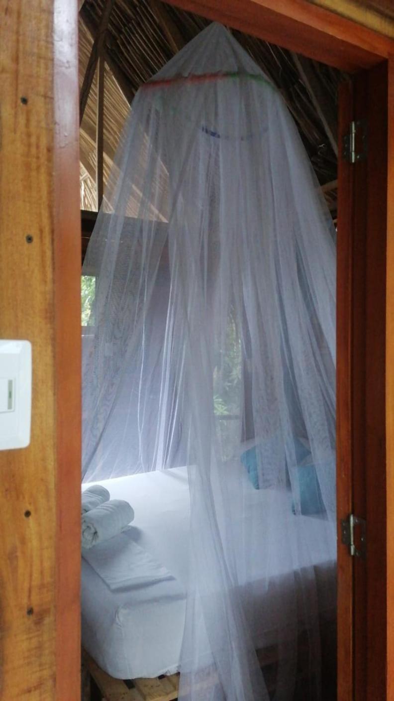 Hostel Cattleya パロミノ エクステリア 写真